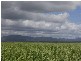 Munbura QLD 4740