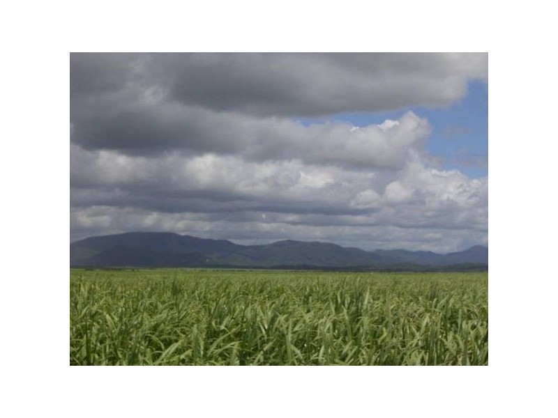 Munbura QLD 4740