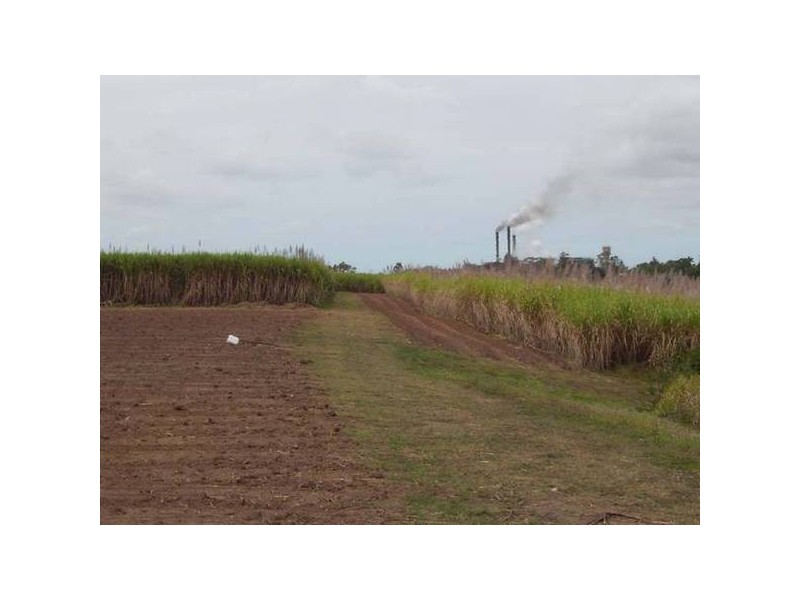 Devereux Creek QLD 4753