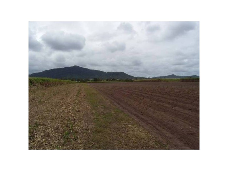 Devereux Creek QLD 4753