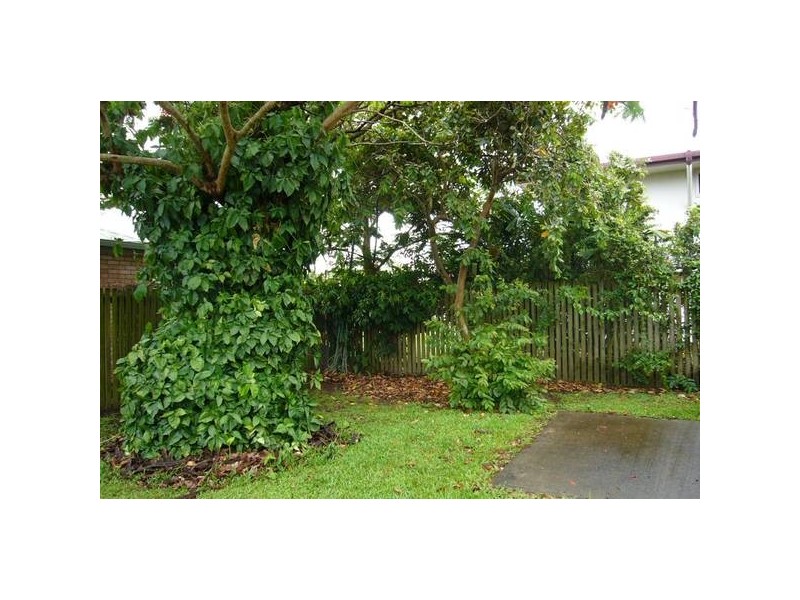 1 Bernborough Avenue, Ooralea QLD 4740