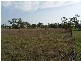 142 & 143 Deninson Street, Nebo QLD 4742