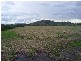 1 & 2 Mt Ossa-Seaforth Road, Mackay QLD 4740