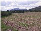 1 & 2 Mt Ossa-Seaforth Road, Mackay QLD 4740