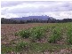 1 & 2 Mt Ossa-Seaforth Road, Mackay QLD 4740