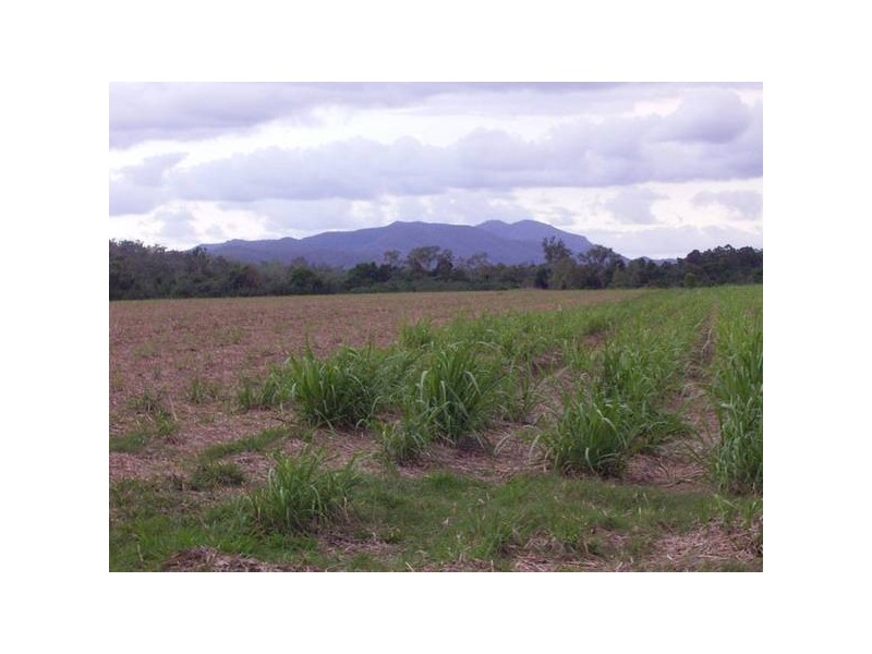 1 & 2 Mt Ossa-Seaforth Road, Mackay QLD 4740