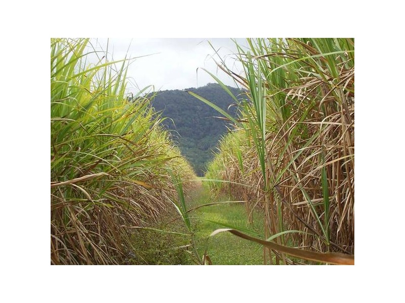 Devereux Creek QLD 4753