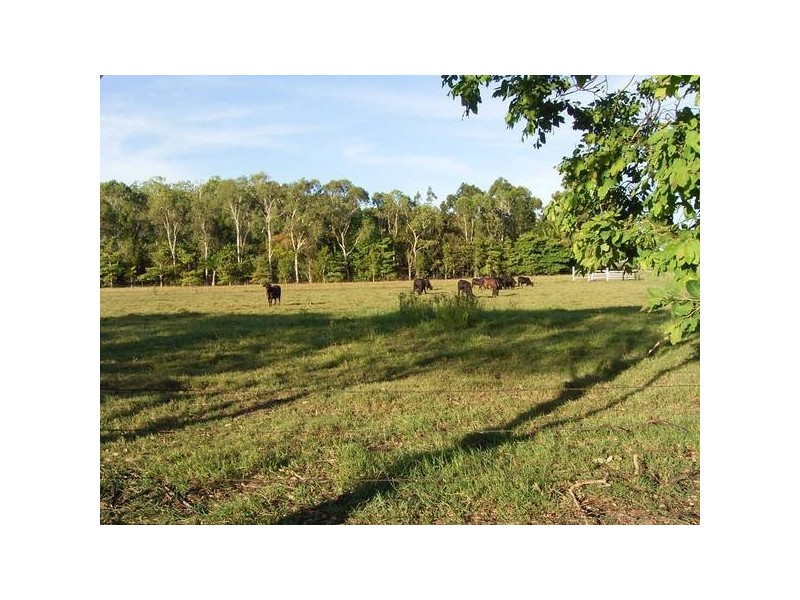 Habana QLD 4740