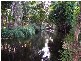 Habana QLD 4740