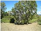 Proserpine QLD 4800