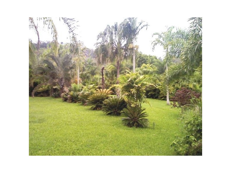 Mount Pelion QLD 4741