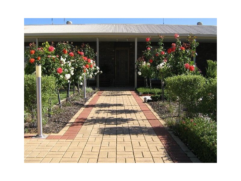 32 Pigeon Flat Road, Bordertown SA 5268