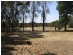 Lot 22, 15147 Dukes Highway via Wirrega, Bordertown SA 5268