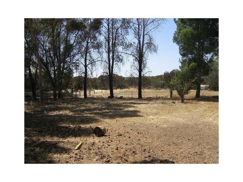 Lot 22, 15147 Dukes Highway via Wirrega, Bordertown SA 5268