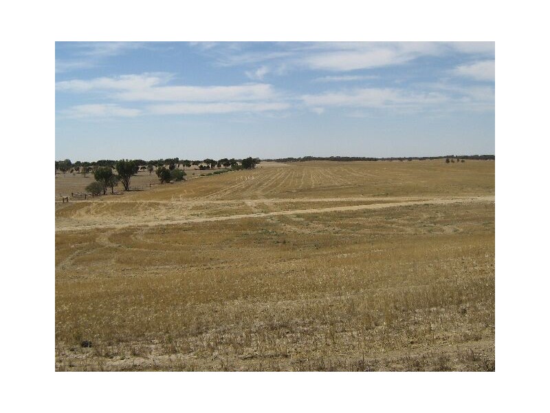 Emu Flat Road and Red Bluff Road, Bordertown SA 5268