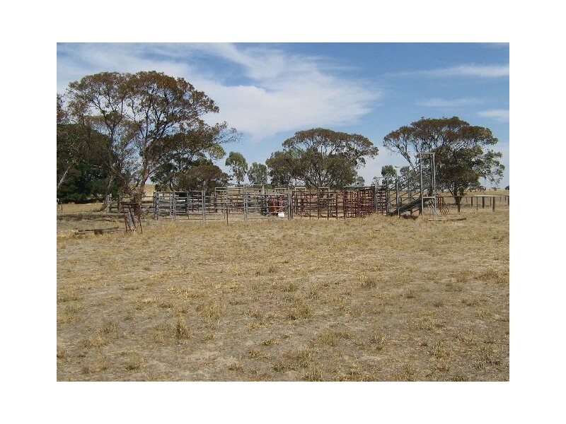 Emu Flat Road and Red Bluff Road, Bordertown SA 5268