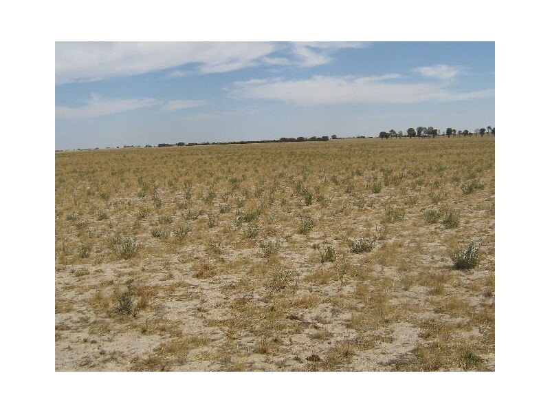 Emu Flat Road and Red Bluff Road, Bordertown SA 5268