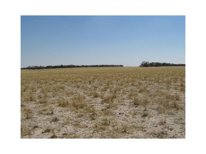 Red Bluff Road, Bordertown SA 5268