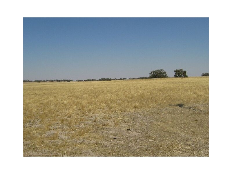 Red Bluff Road, Bordertown SA 5268