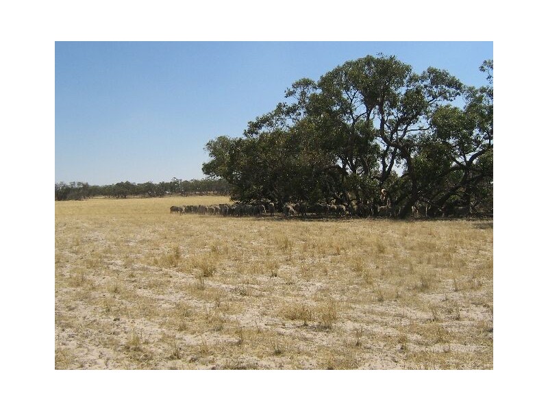 Red Bluff Road, Bordertown SA 5268