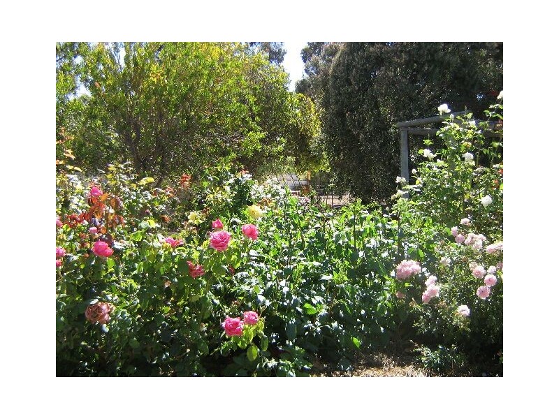 7 Philip Avenue, Bordertown SA 5268