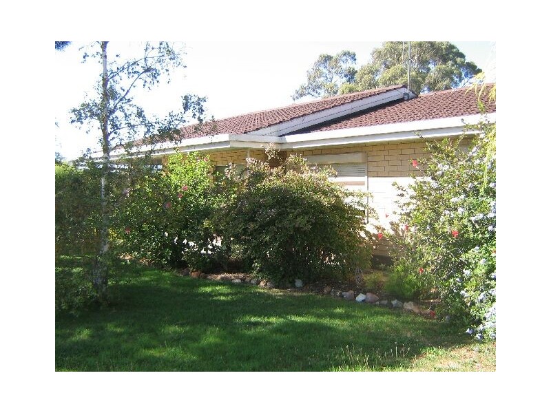 42 Venn Avenue, Bordertown SA 5268