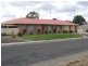 211 South Avenue, Bordertown SA 5268