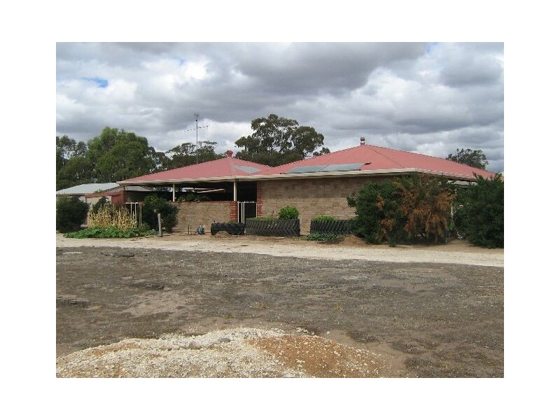 211 South Avenue, Bordertown SA 5268