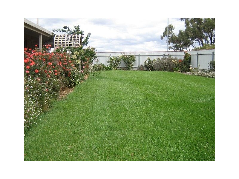 211 South Avenue, Bordertown SA 5268