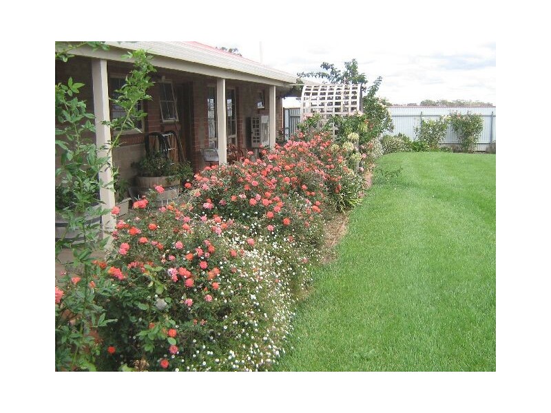 211 South Avenue, Bordertown SA 5268