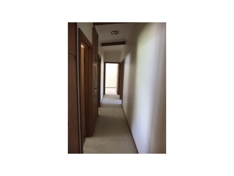 72 Riddoch Hwy, Keith SA 5267