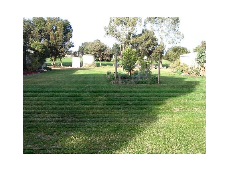 6 Handyside Terrace, Bordertown SA 5268