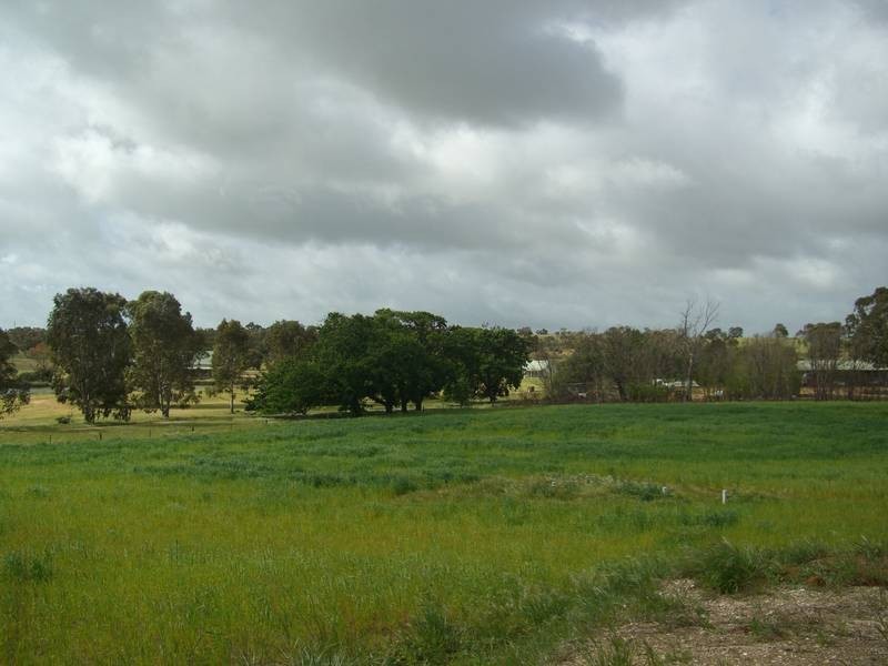 18 Emu Rise, Keith SA 5267