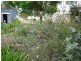 4 Seventh Street, Bordertown SA 5268