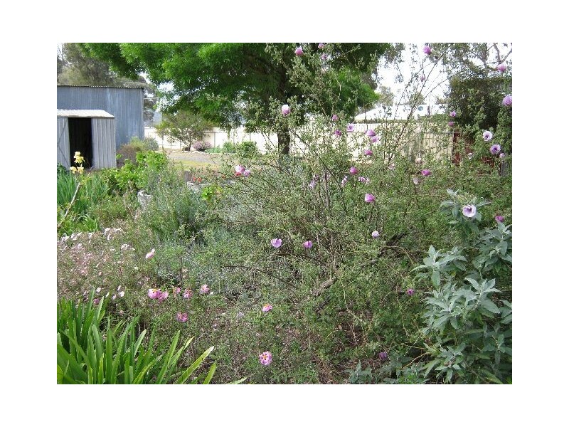 4 Seventh Street, Bordertown SA 5268