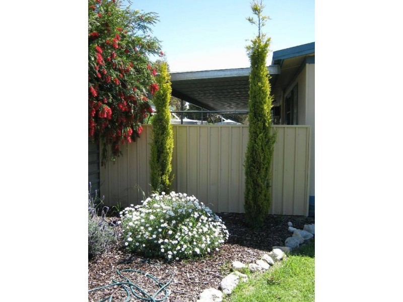 37 Tolmer Tce, Bordertown SA 5268
