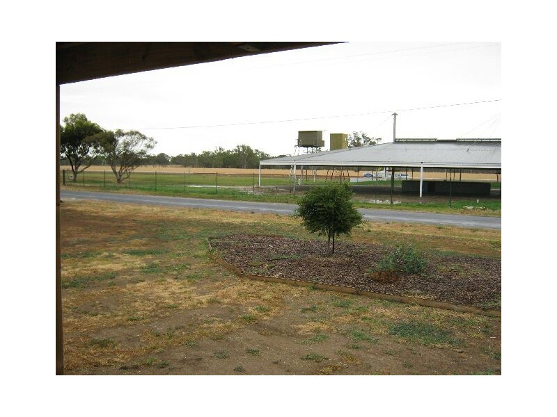 148 Racecourse Road, Bordertown SA 5268