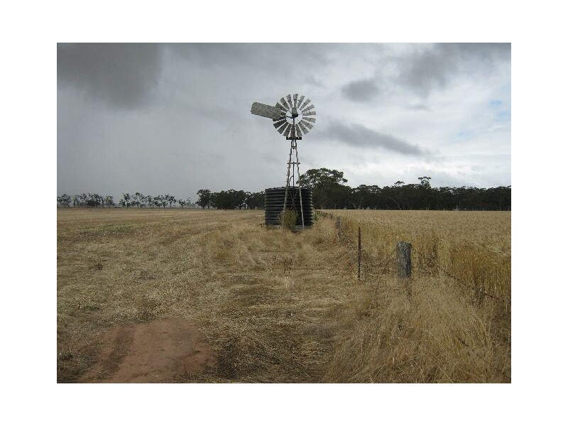 00 Bordertown Frances Road, Bordertown SA 5268