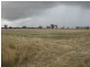 00 Bordertown Frances Road, Bordertown SA 5268