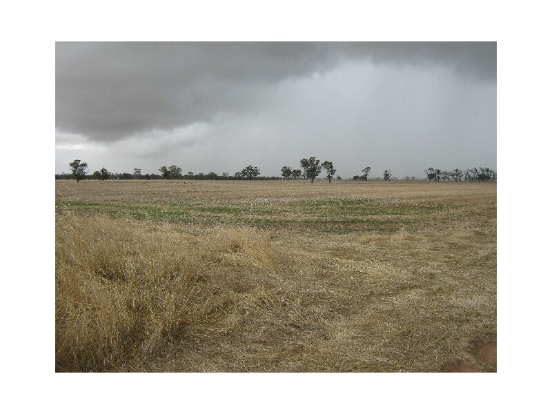 00 Bordertown Frances Road, Bordertown SA 5268