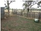 00 Bordertown Frances Road, Bordertown SA 5268