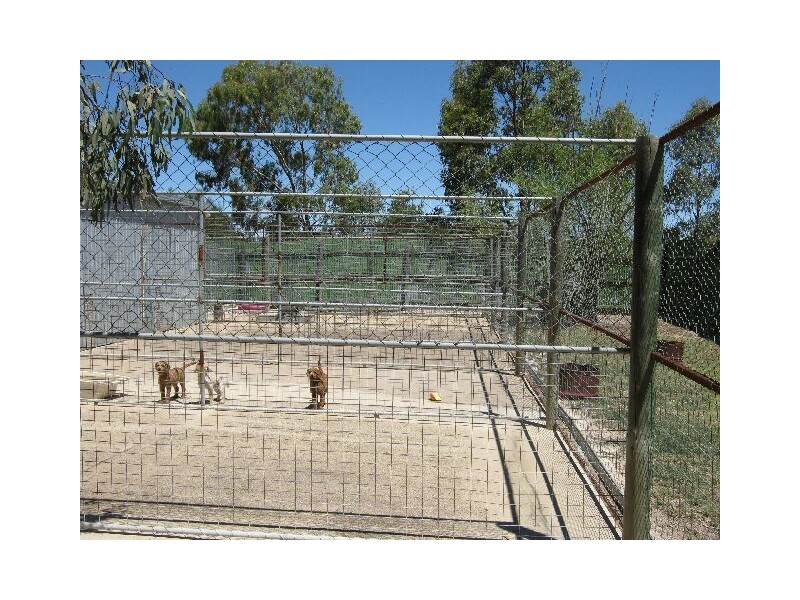 00 Ridgway Road, Wolseley SA 5269