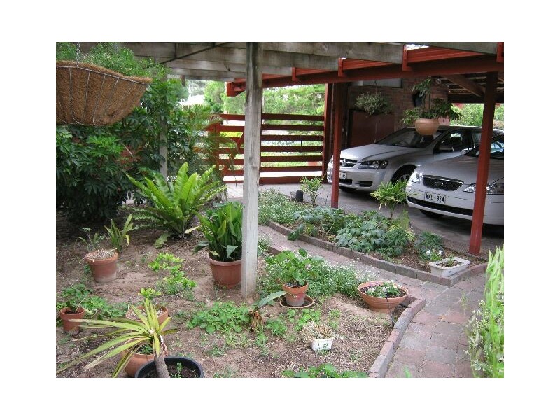 23 Pigeon Flat Road, Bordertown SA 5268