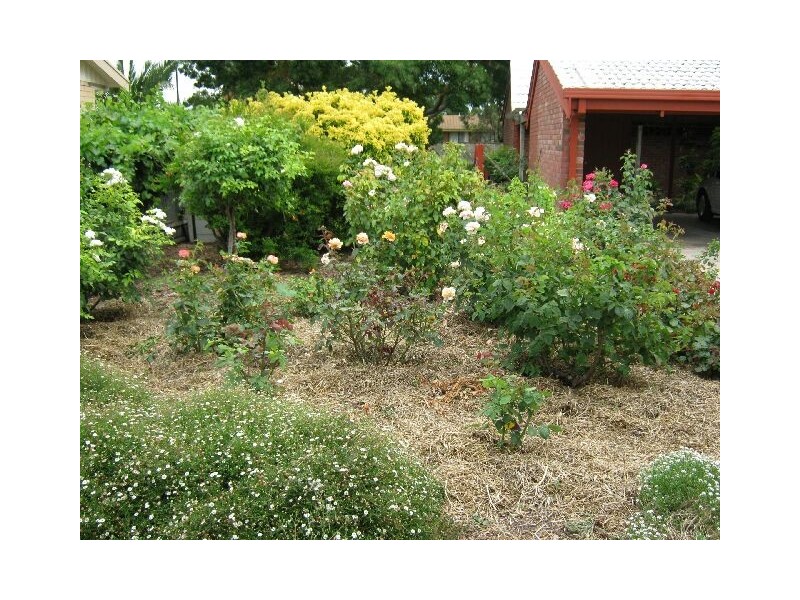 23 Pigeon Flat Road, Bordertown SA 5268