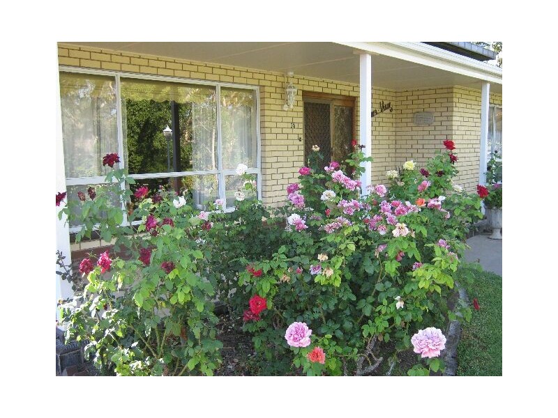 14 Naracoorte Road, Bordertown SA 5268