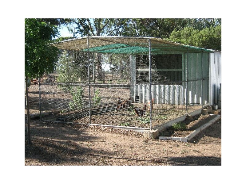 14 Naracoorte Road, Bordertown SA 5268
