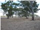 Lot 1 South Avenue, Bordertown SA 5268
