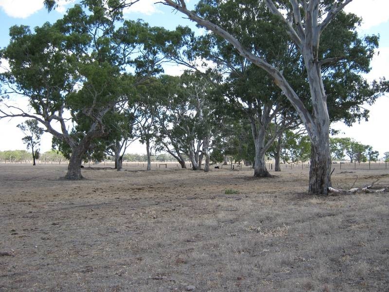 Lot 1 South Avenue, Bordertown SA 5268