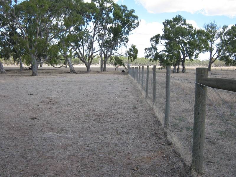 Lot 1 South Avenue, Bordertown SA 5268