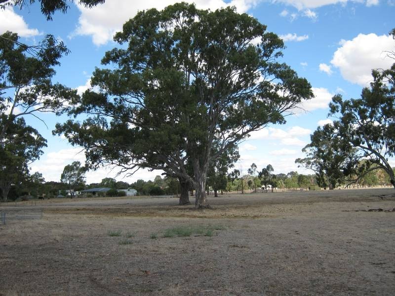 Lot 1 South Avenue, Bordertown SA 5268